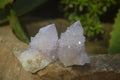 Natural Amethyst Spirit Quartz Crystals x 24 From Boekenhouthoek, South Africa - Toprock Gemstones and Minerals 