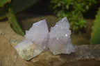 Natural Amethyst Spirit Quartz Crystals x 24 From Boekenhouthoek, South Africa - Toprock Gemstones and Minerals 