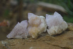 Natural Amethyst Spirit Quartz Crystals x 24 From Boekenhouthoek, South Africa - Toprock Gemstones and Minerals 