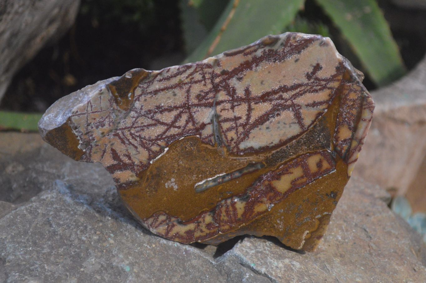 Polished On One Side Nguni Jasper Specimens x 2 From Prieska, South Africa - Toprock Gemstones and Minerals 