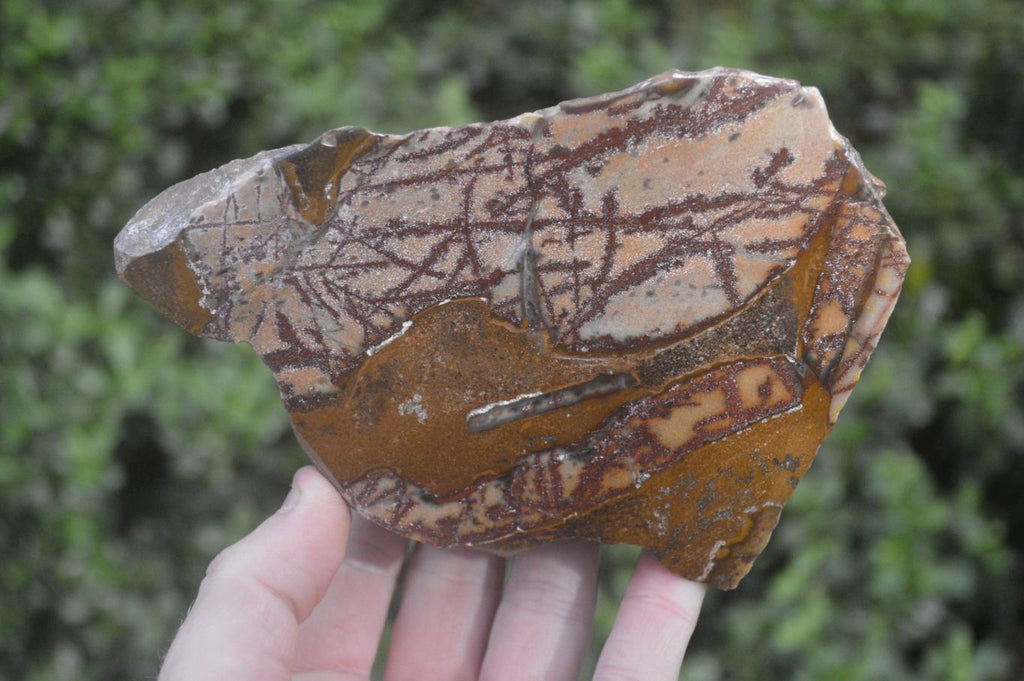 Polished On One Side Nguni Jasper Specimens x 2 From Prieska, South Africa - Toprock Gemstones and Minerals 