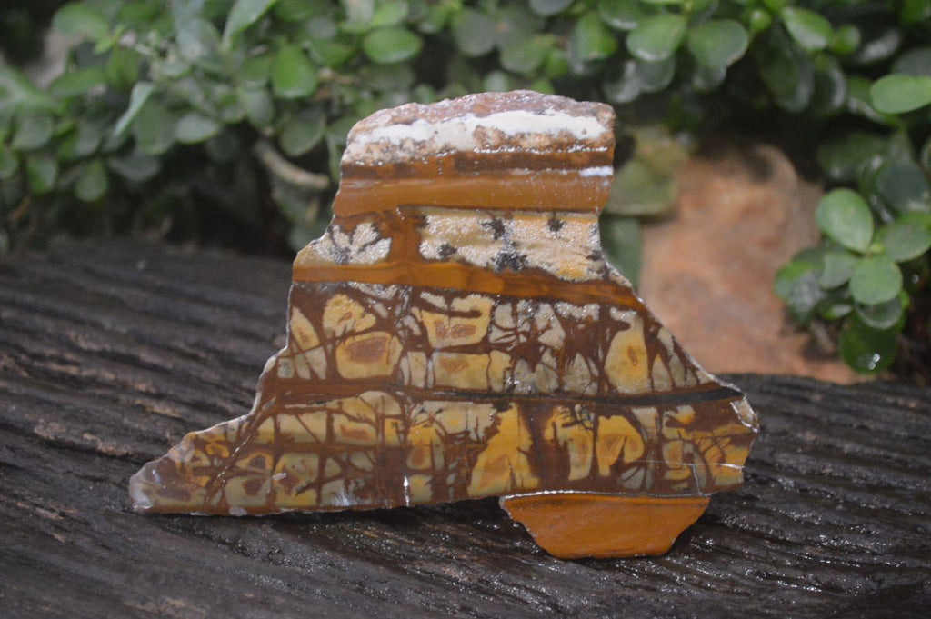 Polished On One Side Nguni Jasper Specimens x 2 From Prieska, South Africa - Toprock Gemstones and Minerals 