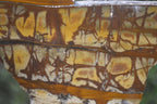 Polished On One Side Nguni Jasper Specimens x 2 From Prieska, South Africa - Toprock Gemstones and Minerals 