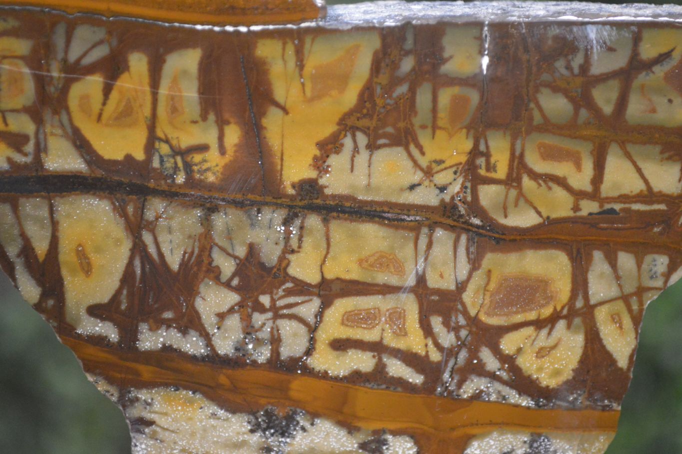 Polished On One Side Nguni Jasper Specimens x 2 From Prieska, South Africa - Toprock Gemstones and Minerals 