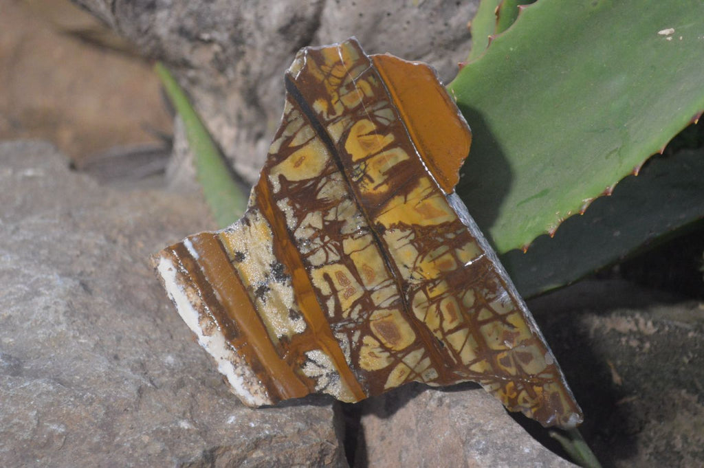 Polished On One Side Nguni Jasper Specimens x 2 From Prieska, South Africa - Toprock Gemstones and Minerals 