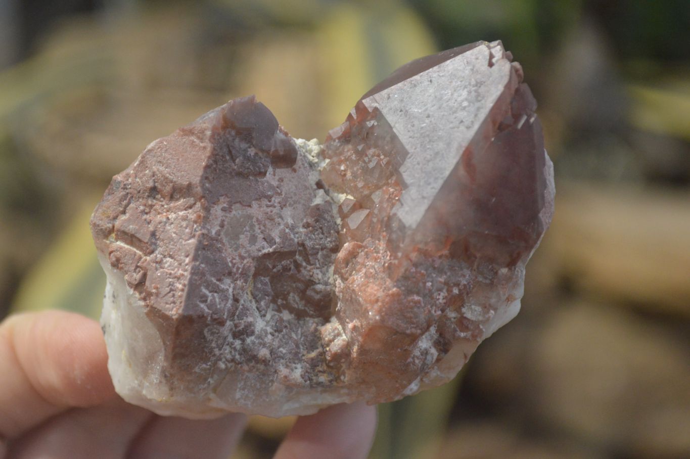 Natural Red Hematoid Quartz Single Crystals x 4 From Karoi, Zimbabwe - Toprock Gemstones and Minerals 