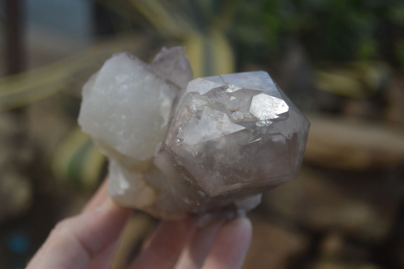 Natural Red Hematoid Quartz Single Crystals x 4 From Karoi, Zimbabwe - Toprock Gemstones and Minerals 