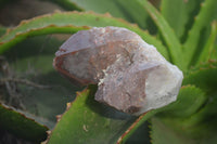 Natural Red Hematoid Quartz Single Crystals x 4 From Karoi, Zimbabwe - Toprock Gemstones and Minerals 