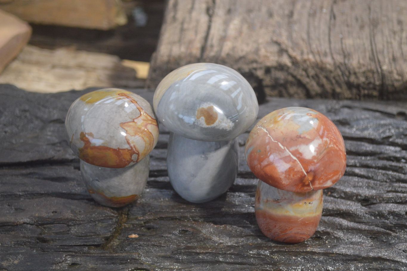 Polished Polychrome Jasper Mushrooms x 3 From Madagascar - Toprock Gemstones and Minerals 