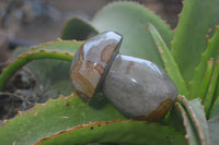 Polished Polychrome Jasper Mushrooms x 3 From Madagascar - Toprock Gemstones and Minerals 