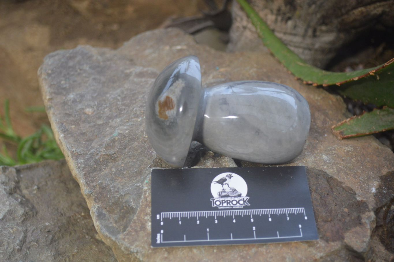 Polished Polychrome Jasper Mushrooms x 3 From Madagascar - Toprock Gemstones and Minerals 