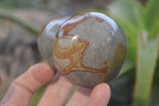 Polished Polychrome Jasper Mushrooms x 3 From Madagascar - Toprock Gemstones and Minerals 