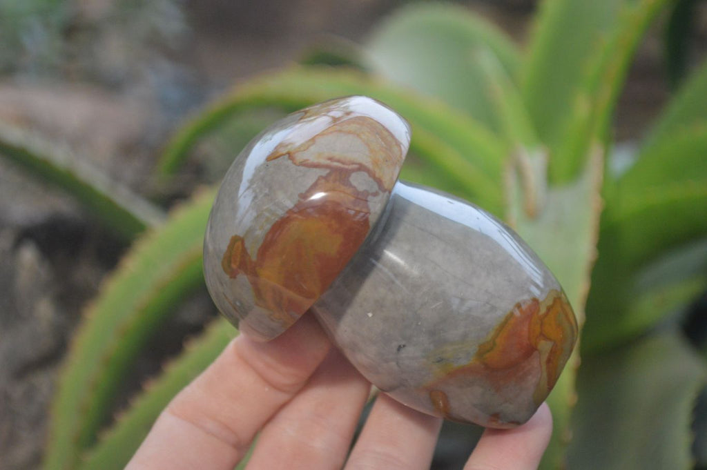 Polished Polychrome Jasper Mushrooms x 3 From Madagascar - Toprock Gemstones and Minerals 