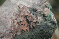 Natural Salrose Cobaltion Dolomite Specimens with Malachite and Heterogenite x 2 From Kakanda, Congo - Toprock Gemstones and Minerals 