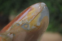 Polished Polychrome Jasper Standing Free Forms x 2 From Madagascar - Toprock Gemstones and Minerals 