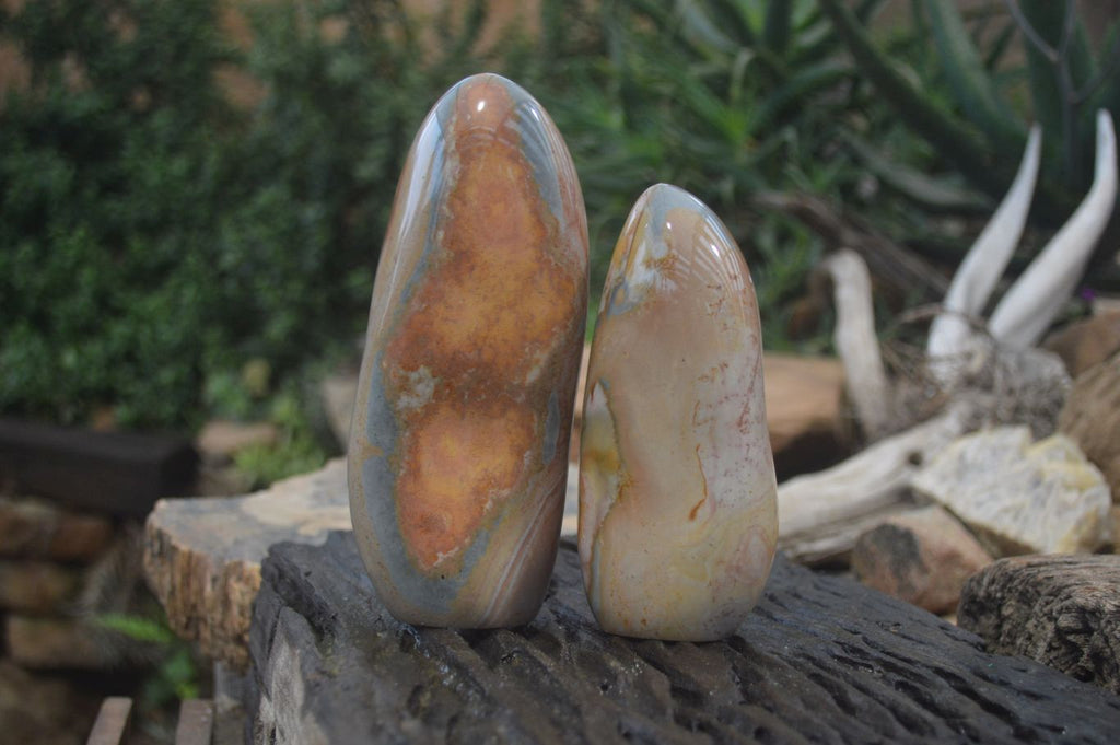 Polished Polychrome Jasper Standing Free Forms x 2 From Madagascar - Toprock Gemstones and Minerals 