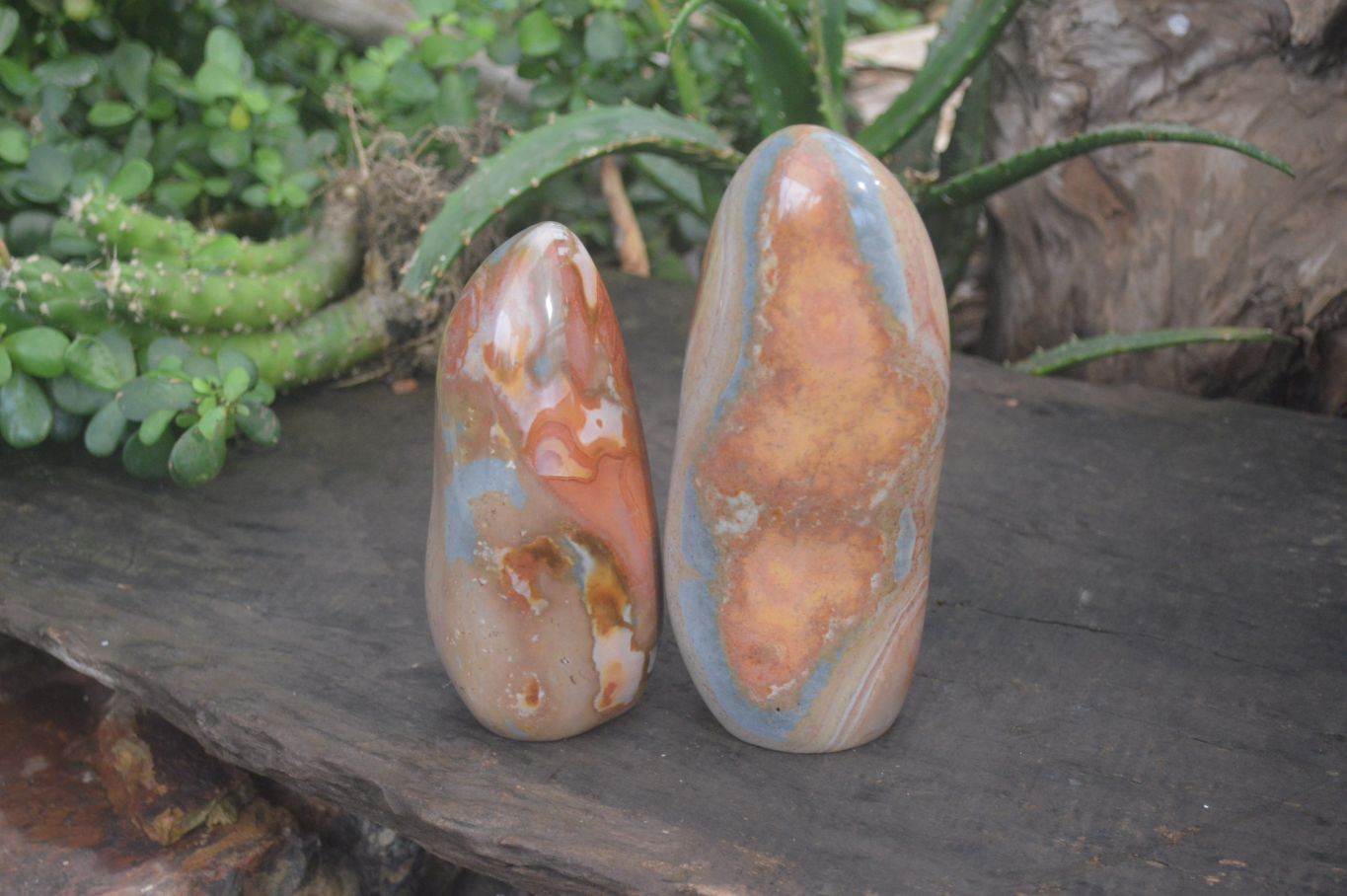 Polished Polychrome Jasper Standing Free Forms x 2 From Madagascar - Toprock Gemstones and Minerals 