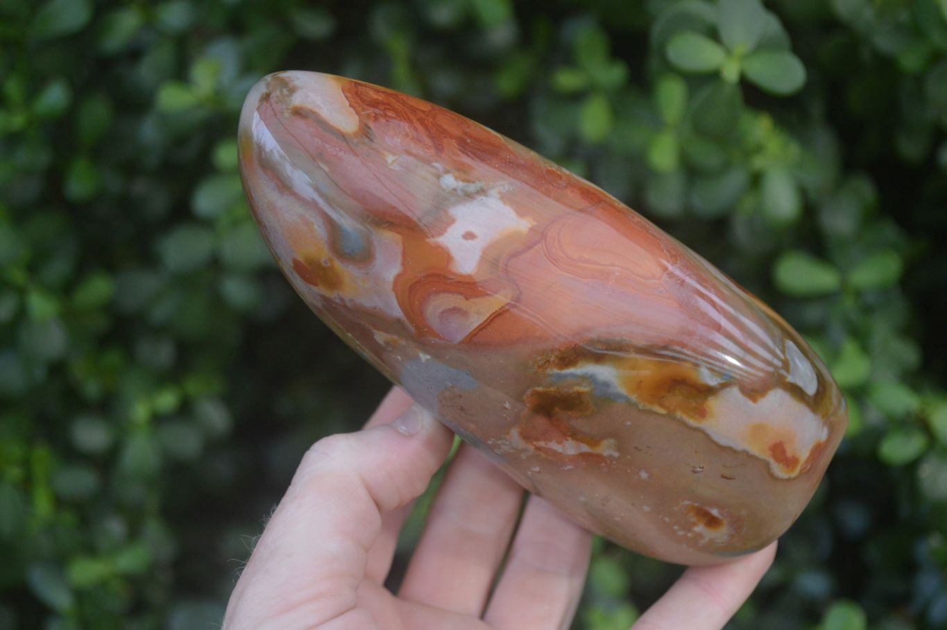 Polished Polychrome Jasper Standing Free Forms x 2 From Madagascar - Toprock Gemstones and Minerals 