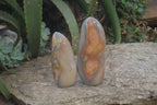 Polished Polychrome Jasper Standing Free Forms x 2 From Madagascar - Toprock Gemstones and Minerals 