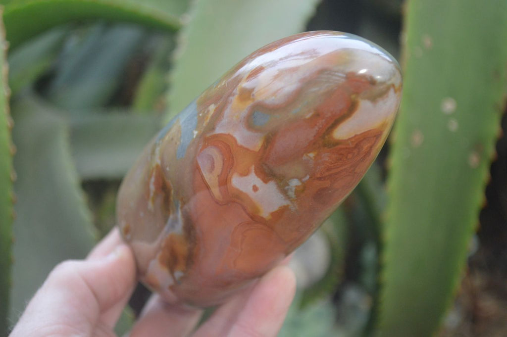 Polished Polychrome Jasper Standing Free Forms x 2 From Madagascar - Toprock Gemstones and Minerals 