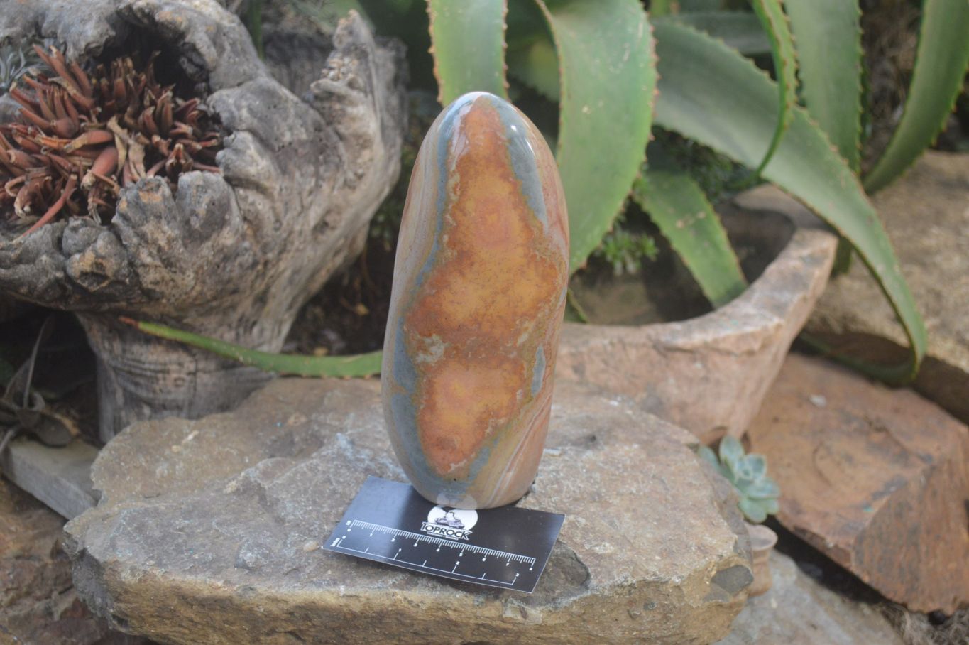 Polished Polychrome Jasper Standing Free Forms x 2 From Madagascar - Toprock Gemstones and Minerals 
