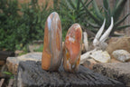 Polished Polychrome Jasper Standing Free Forms x 2 From Madagascar - Toprock Gemstones and Minerals 