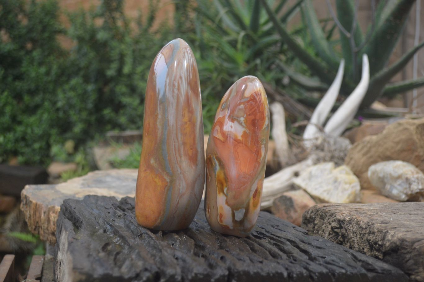 Polished Polychrome Jasper Standing Free Forms x 2 From Madagascar - Toprock Gemstones and Minerals 