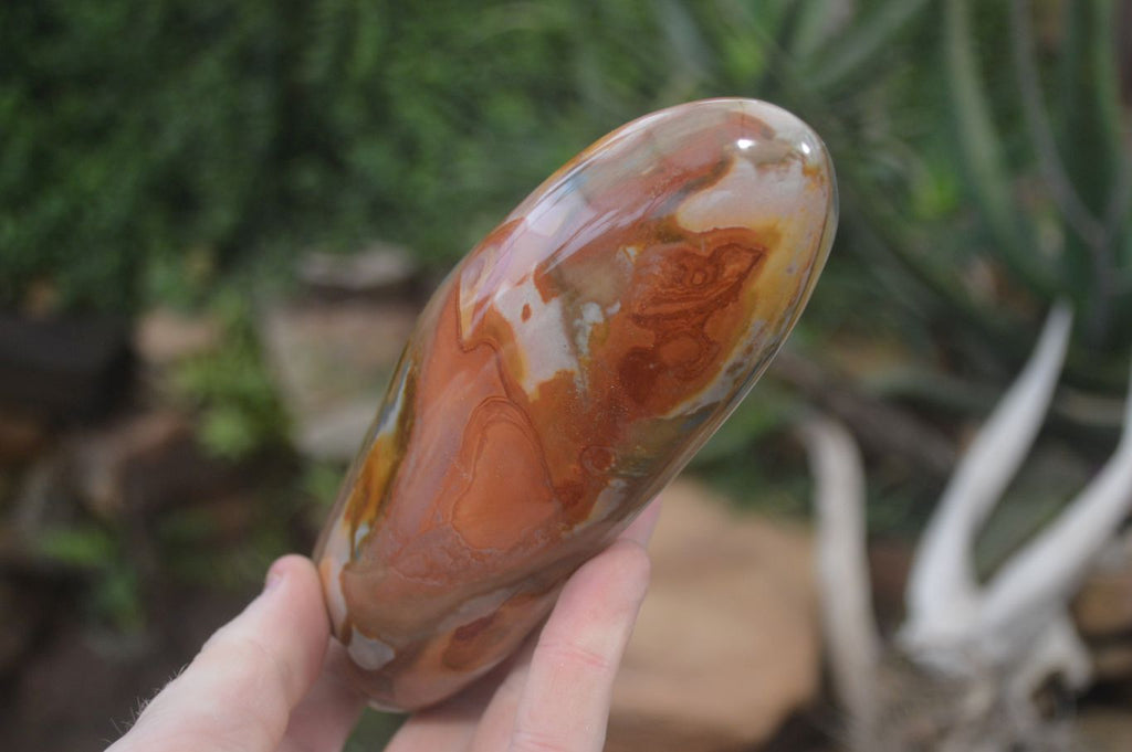 Polished Polychrome Jasper Standing Free Forms x 2 From Madagascar - Toprock Gemstones and Minerals 