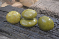 Polished Green Opal Galet - Palm Stones x 12 From Antsirabe, Madagascar - Toprock Gemstones and Minerals 