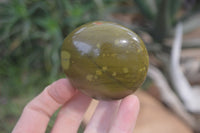 Polished Green Opal Galet - Palm Stones x 12 From Antsirabe, Madagascar - Toprock Gemstones and Minerals 