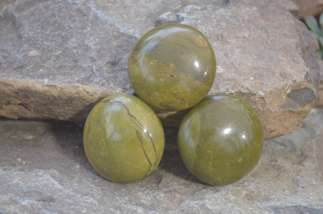 Polished Green Opal Galet - Palm Stones x 12 From Antsirabe, Madagascar - Toprock Gemstones and Minerals 