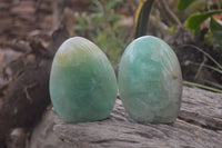 Polished Green Fluorite Standing Free Forms x 2 From Madagascar - Toprock Gemstones and Minerals 