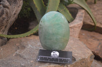 Polished Green Fluorite Standing Free Forms x 2 From Madagascar - Toprock Gemstones and Minerals 
