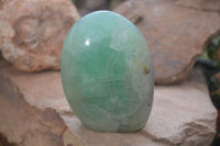 Polished Green Fluorite Standing Free Forms x 2 From Madagascar - Toprock Gemstones and Minerals 
