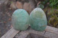 Polished Green Fluorite Standing Free Forms x 2 From Madagascar - Toprock Gemstones and Minerals 