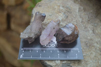Natural Smokey Chiredzi Amethyst Crystals & Double Terminated Scepters x 35 From Chiredzi, Zimbabwe - Toprock Gemstones and Minerals 