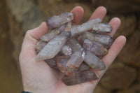 Natural Smokey Chiredzi Amethyst Crystals & Double Terminated Scepters x 35 From Chiredzi, Zimbabwe - Toprock Gemstones and Minerals 