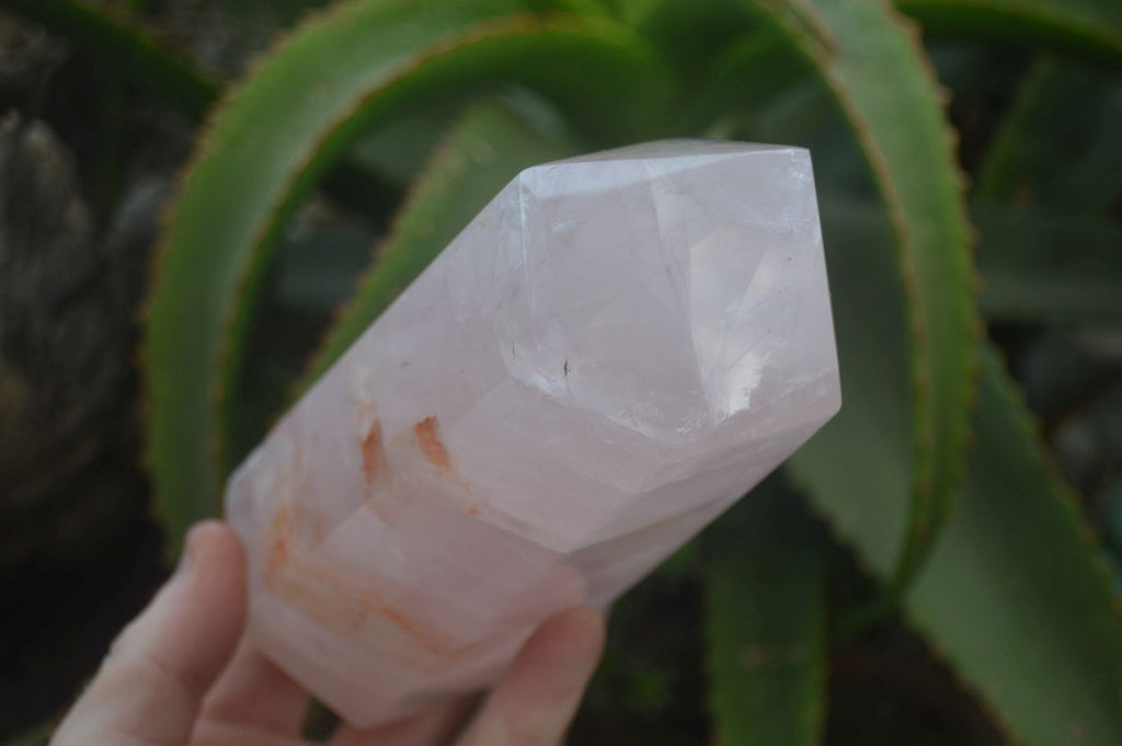 Polished Gemmy Rose Quartz Points x 2 From Madagascar - Toprock Gemstones and Minerals 