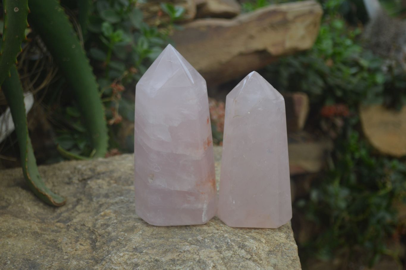 Polished Gemmy Rose Quartz Points x 2 From Madagascar - Toprock Gemstones and Minerals 