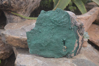 Natural Botryoidal Malachite Specimens x 1 From Tenke Fungurume, Congo - Toprock Gemstones and Minerals 