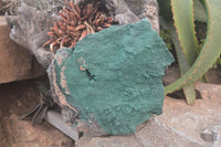 Natural Botryoidal Malachite Specimens x 1 From Tenke Fungurume, Congo - Toprock Gemstones and Minerals 