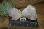 Natural  Ametrine Cactus Flower Spirit Quartz Clusters x 12 From Boekenhouthoek, South Africa - Toprock Gemstones and Minerals 