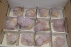 Natural  Ametrine Cactus Flower Spirit Quartz Clusters x 12 From Boekenhouthoek, South Africa - Toprock Gemstones and Minerals 