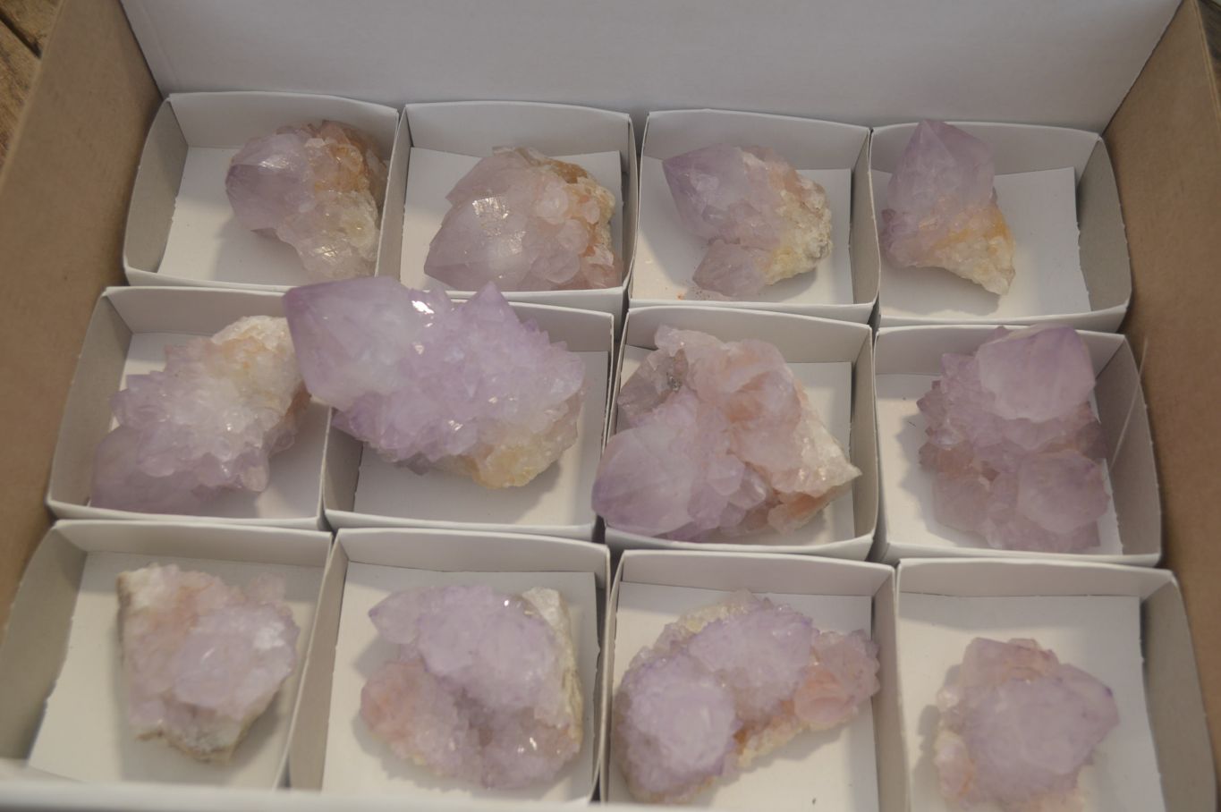 Natural  Ametrine Cactus Flower Spirit Quartz Clusters x 12 From Boekenhouthoek, South Africa - Toprock Gemstones and Minerals 