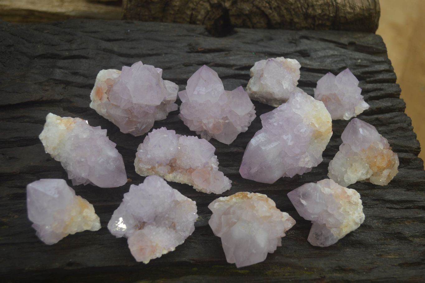Natural  Ametrine Cactus Flower Spirit Quartz Clusters x 12 From Boekenhouthoek, South Africa - Toprock Gemstones and Minerals 