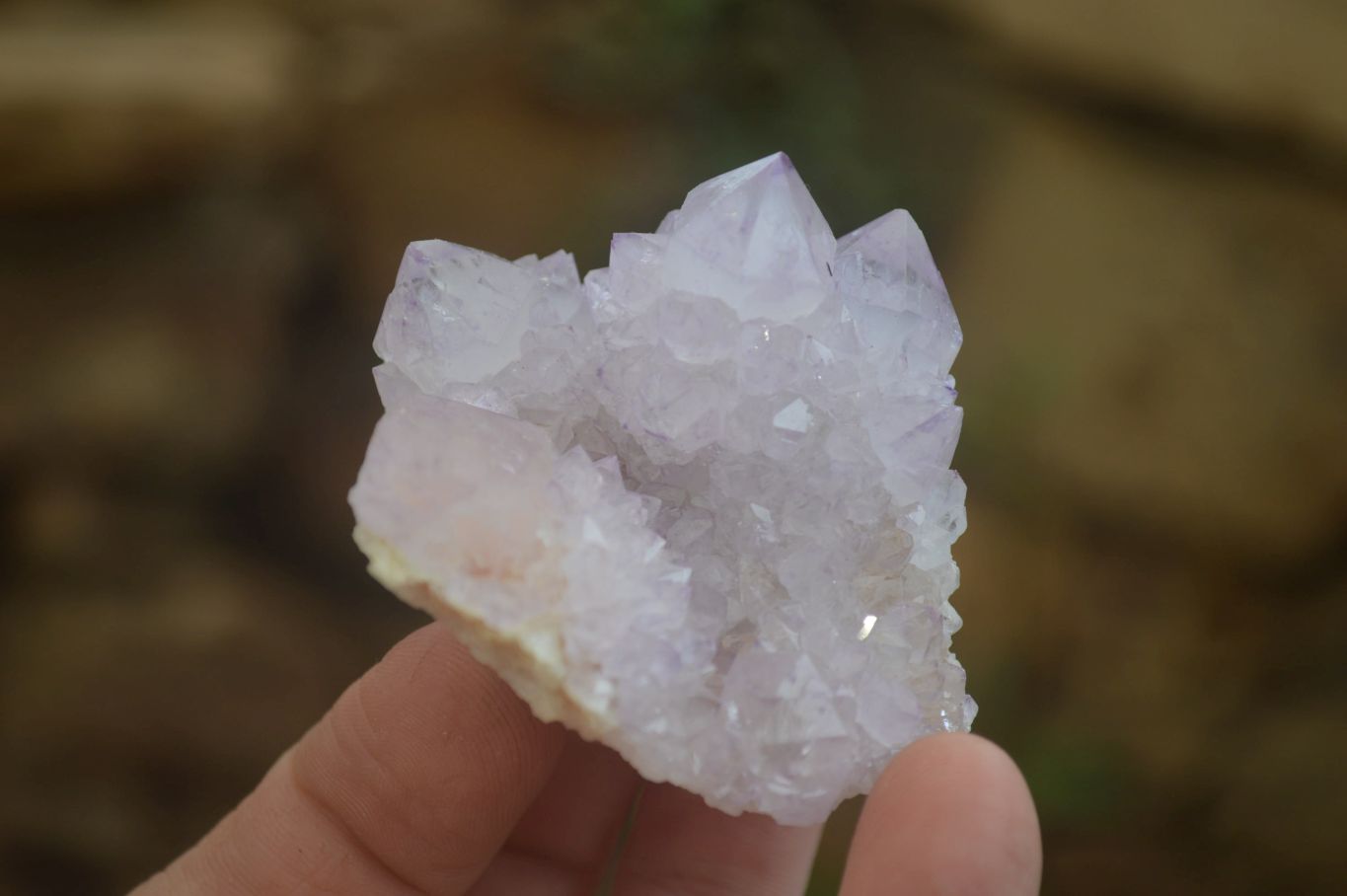 Natural  Ametrine Cactus Flower Spirit Quartz Clusters x 12 From Boekenhouthoek, South Africa - Toprock Gemstones and Minerals 