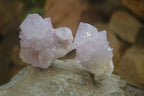 Natural  Ametrine Cactus Flower Spirit Quartz Clusters x 12 From Boekenhouthoek, South Africa - Toprock Gemstones and Minerals 