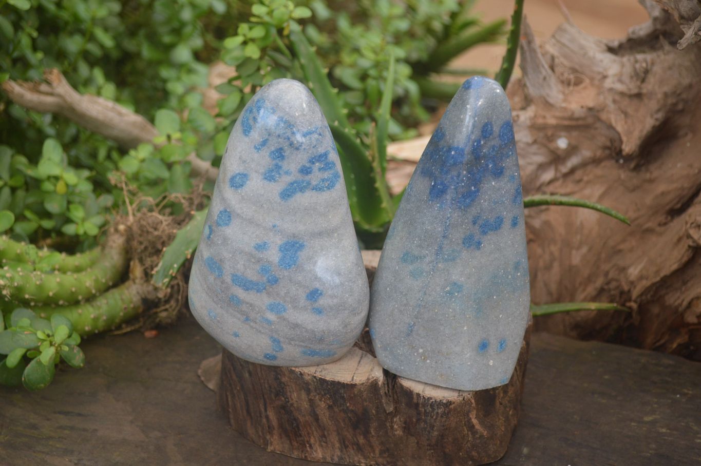 Polished Rare Blue Spinel Spotted Quartz Standing Free Forms x 2 From Madagascar - Toprock Gemstones and Minerals 