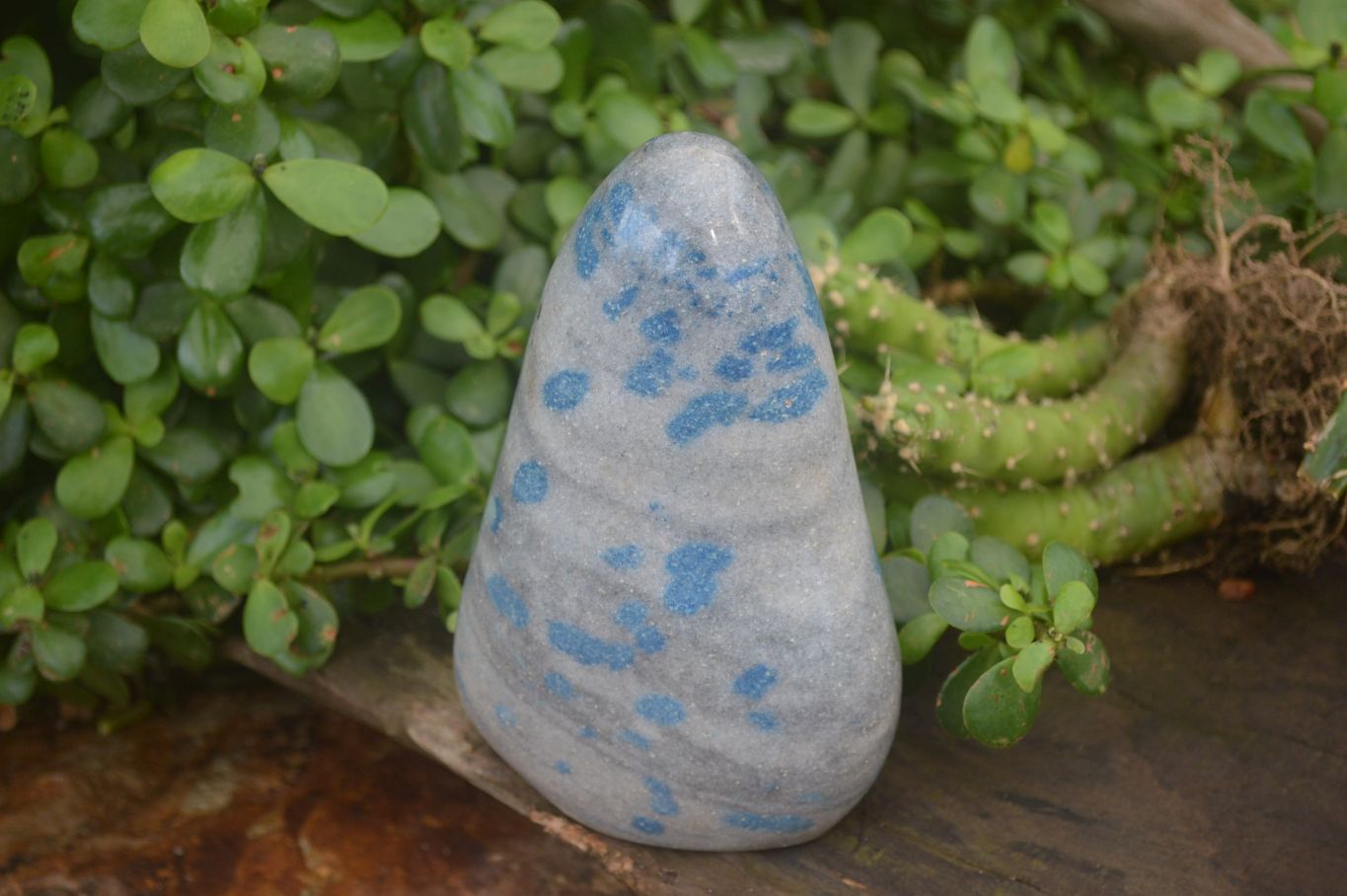 Polished Rare Blue Spinel Spotted Quartz Standing Free Forms x 2 From Madagascar - Toprock Gemstones and Minerals 