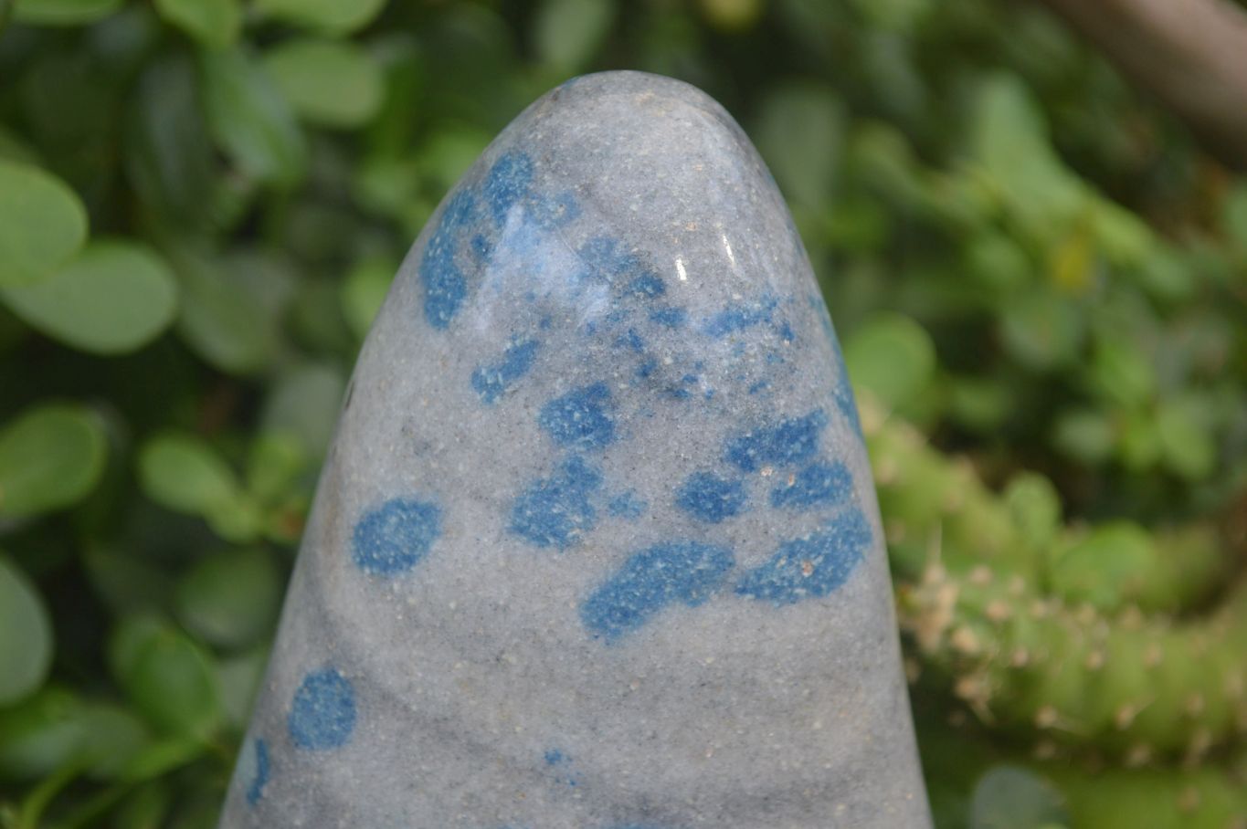 Polished Rare Blue Spinel Spotted Quartz Standing Free Forms x 2 From Madagascar - Toprock Gemstones and Minerals 